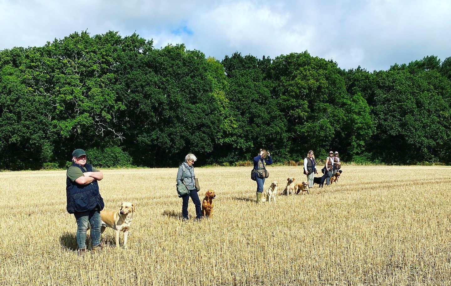 Gun Dog Field Trials Training Scottish Borders